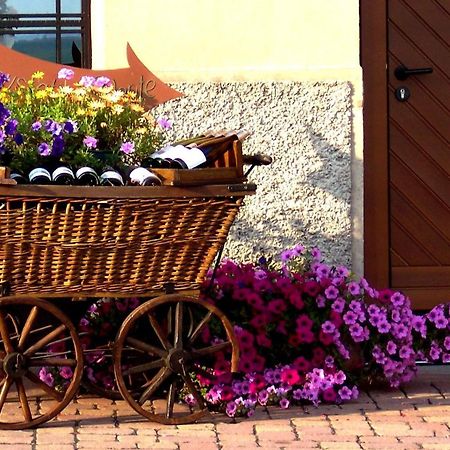 Chez Romane - Appartement Avec Parking Рикевир Экстерьер фото